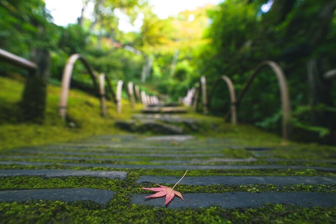 Kyoto Arashiyama Bamboo forest & Garden Half-Day Walking Tour - Okochi Sanso Garden adds views and quiet