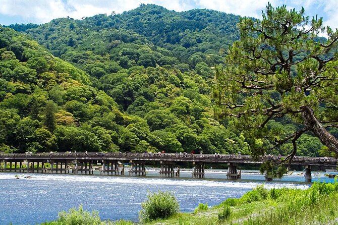 Kyoto: Arashiyama Bamboo Forest, Monkeys, Matcha & Temple Tour - Key reasons to consider this Arashiyama walk