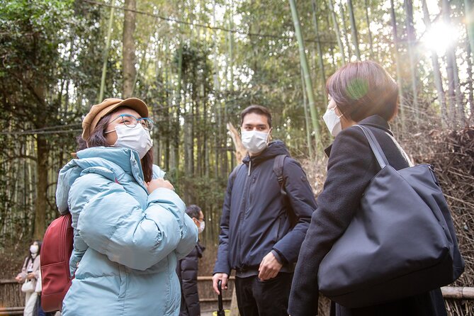Kyoto Arashiyama Bamboo Forest & Scenery Customized Private Tour - Giōji and the quieter side of Sagano