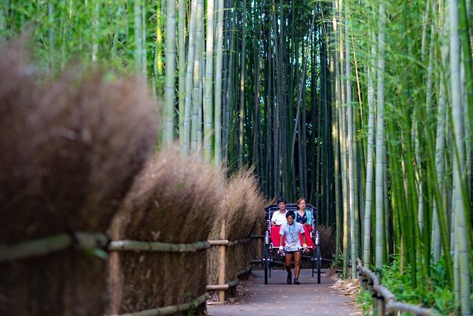 Kyoto Arashiyama Rickshaw Tour with Bamboo Forest - Nonomiya Shrine and the Smaller Stops