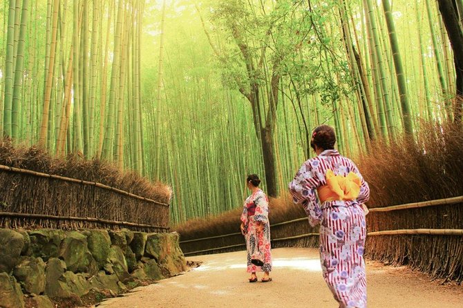 Kyoto Arashiyama & Sagano Bamboo Private Tour with Government-Licensed Guide - Key points to know before booking