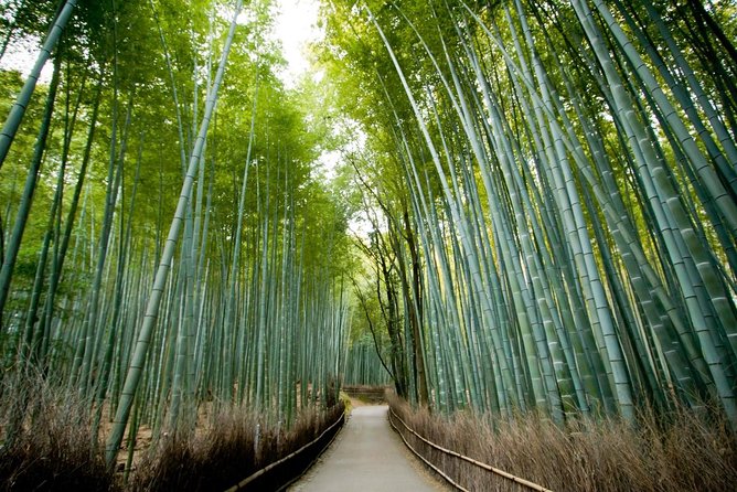 Kyoto Arashiyama & Sagano Bamboo Private Tour with Government-Licensed Guide - Why a private Arashiyama tour can work well