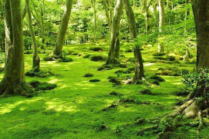 Kyoto Arashiyama & Sagano Bamboo Private Tour with Government-Licensed Guide - Tenryuji and Okochi Sanso Garden