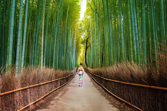 Kyoto Arashiyama Walking Tour: Bamboo, Monkeys, Gardens & Secrets - Why Arashiyama works better with a plan
