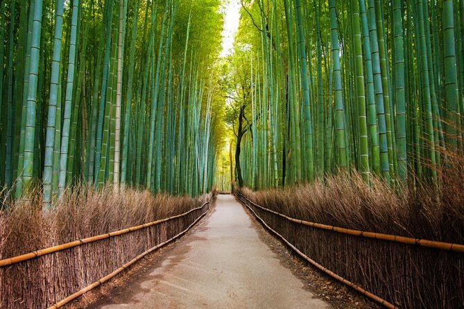 Kyoto Arashiyama Walking Tour: Bamboo, Monkeys, Gardens & Secrets - Walking the Bamboo Forest without stopping at one photo