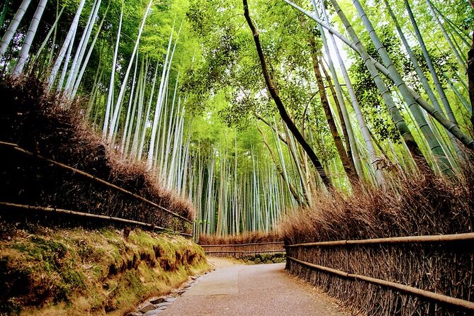 Kyoto Arashiyama Walking Tour: Bamboo, Monkeys, Gardens & Secrets - Monkey Park Iwatayama requires a proper hike