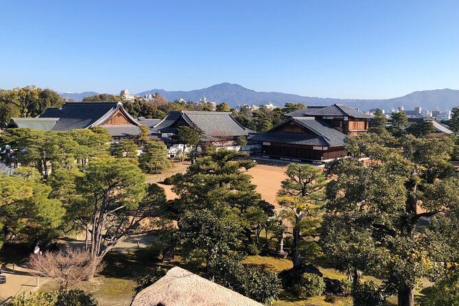 Kyoto Bamboo Forest & Golden Pavilion E-Bike Tour - Walking beneath the Arashiyama bamboo