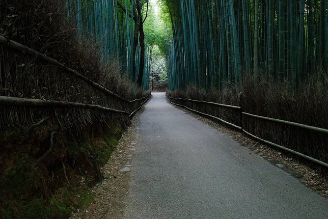 Kyoto Bamboo Forest & Golden Pavilion E-Bike Tour - Lunch and the local-food advantage