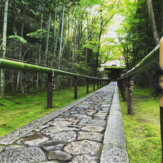 Kyoto: City Secrets eBike Tour - Tea, mochi, and the small tastes of Kyoto