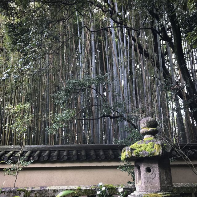 Kyoto: City Secrets eBike Tour - Safety, traffic, and the physical side of the ride