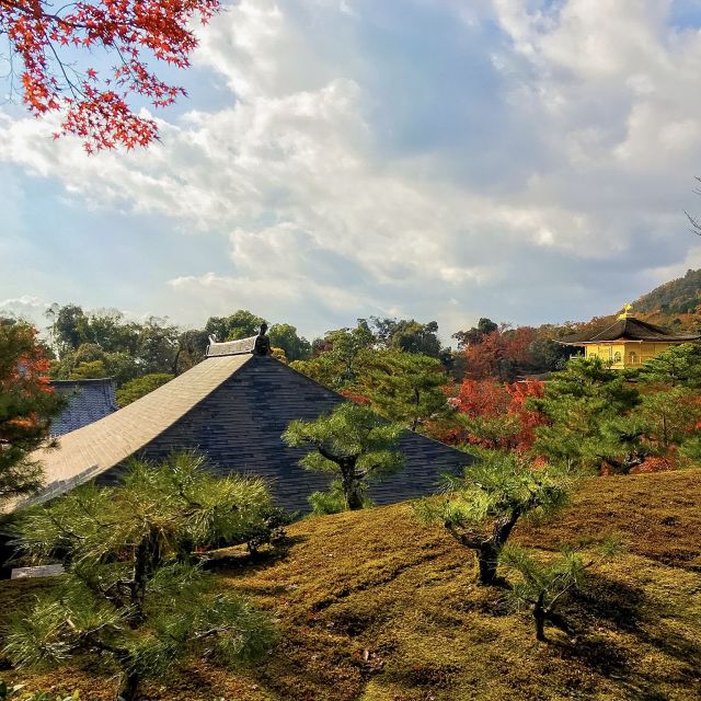 Kyoto: City Secrets eBike Tour - What $127 buys you