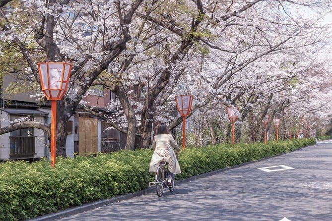 Kyoto E-Bike Tour of Hidden Gems, Backstreets and Temples - Starting in Gion Shirakawa at 9:00 a.m.
