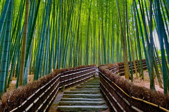 Kyoto Early Bird English Tour: Fushimi-Inari and Arashiyama - Small groups and guide quality