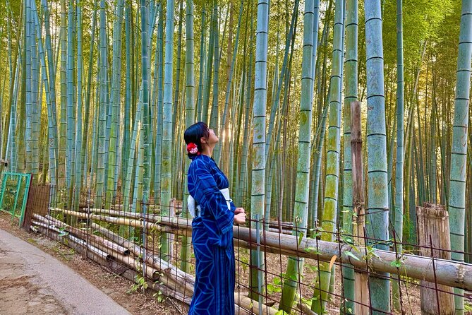 Kyoto Early Bird English Tour: Fushimi Inari & Gion(Private opt) - Gion shows Kyoto’s old entertainment district