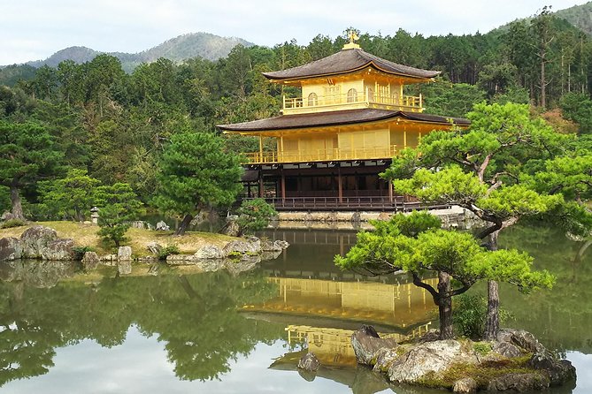 Kyoto Early Bird Walking Tour - Fushimi Inari: one hour beneath the vermilion torii