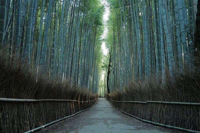 Kyoto Early Morning Tour with English-Speaking Guide - Why an early start changes Kyoto