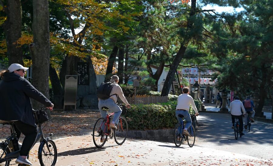 Kyoto: Full Day Bike Tour - A traditional lunch that breaks up the mileage