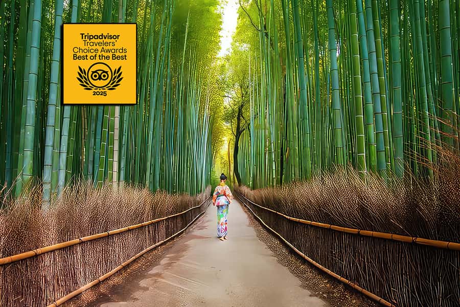 Kyoto: Fushimi, Arashiyama - Bamboo, Monkey, Torii & Secrets - Key points before you book
