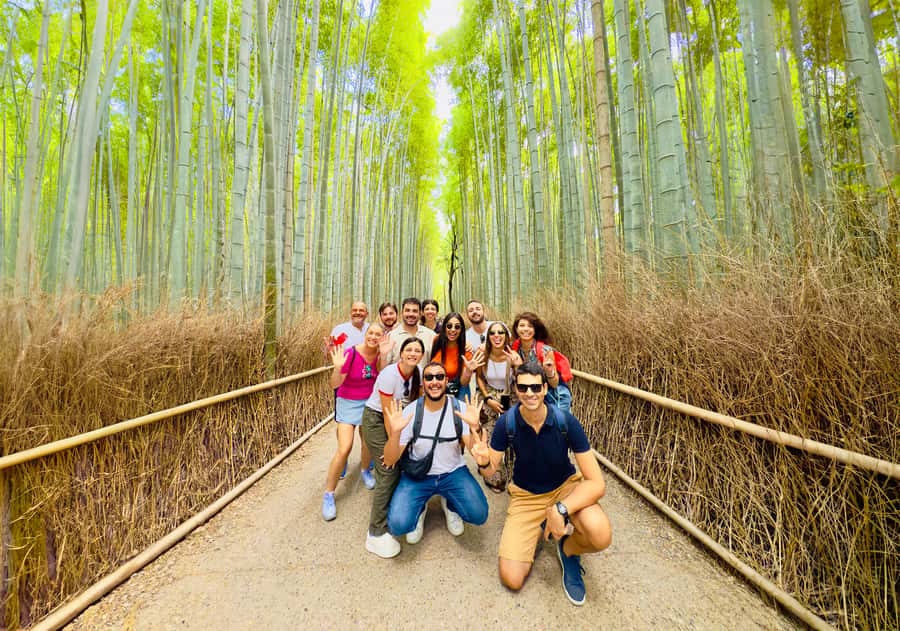 Kyoto: Fushimi, Arashiyama - Bamboo, Monkey, Torii & Secrets - Is $88 a fair price?