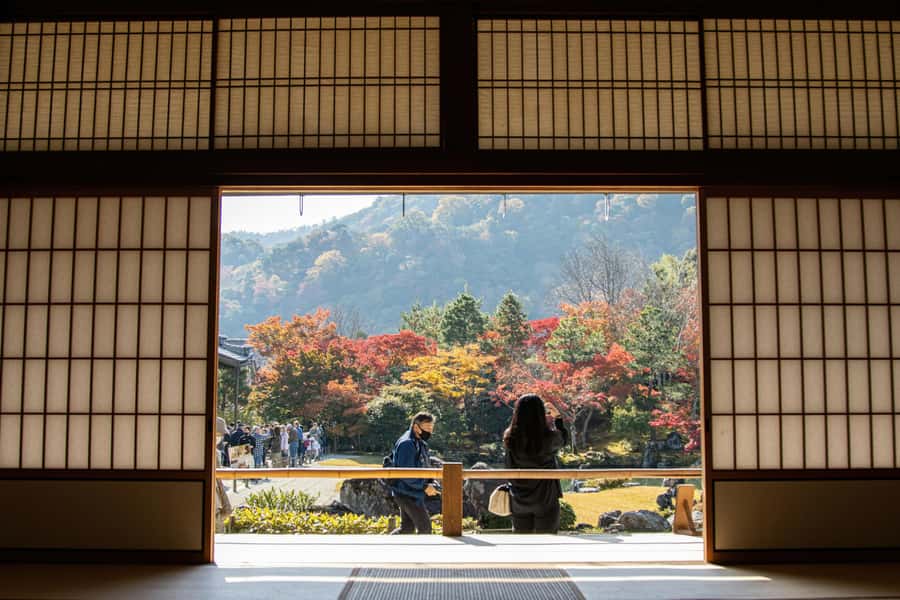 Kyoto: Fushimi, Arashiyama - Bamboo, Monkey, Torii & Secrets - The guides make the long route easier