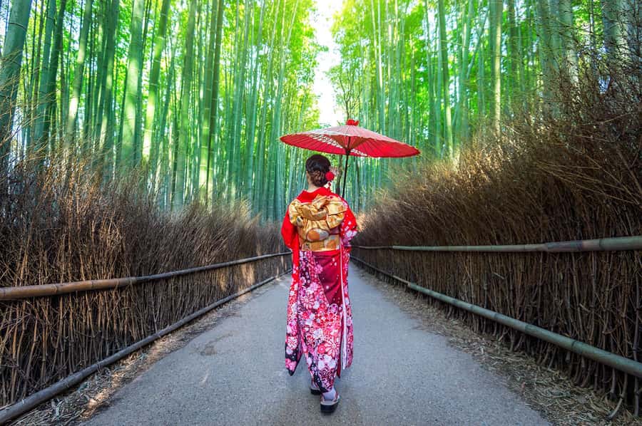 Kyoto: Fushimi, Arashiyama - Bamboo, Monkey, Torii & Secrets - Food, breaks, and surviving the five-hour walk