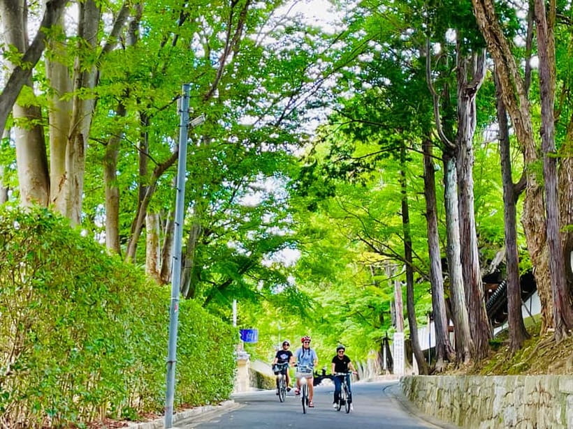 Kyoto: Fushimi Inari Shrine and Tofukuji Temple E-Bike Tour - Gion, geisha culture, and ordinary Kyoto streets