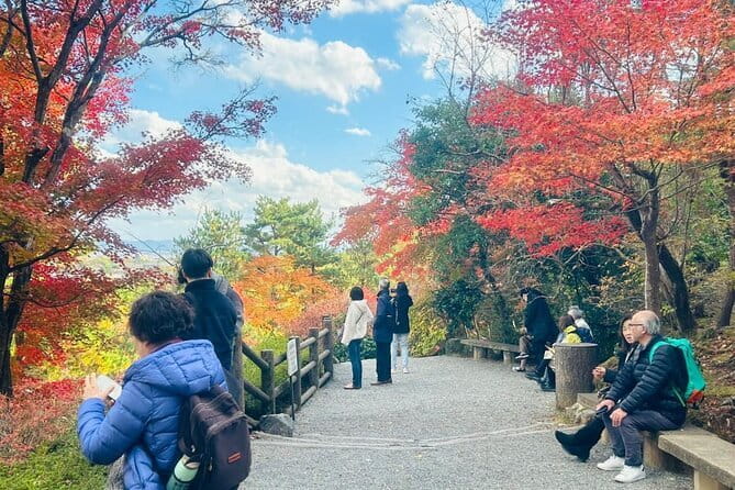 Kyoto: Geisha Dinner & Gion Cultural Walk - Meeting the geiko or maiko