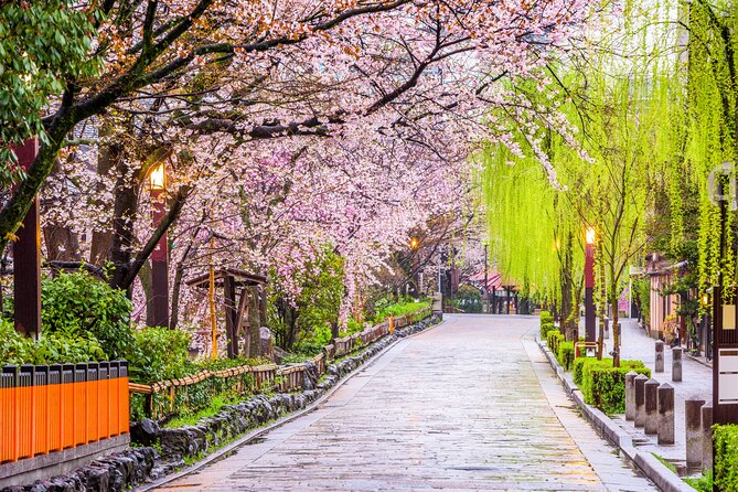 Kyoto Geisha District Walking Tour in Gion - Reading Gion’s narrow streets and wooden houses