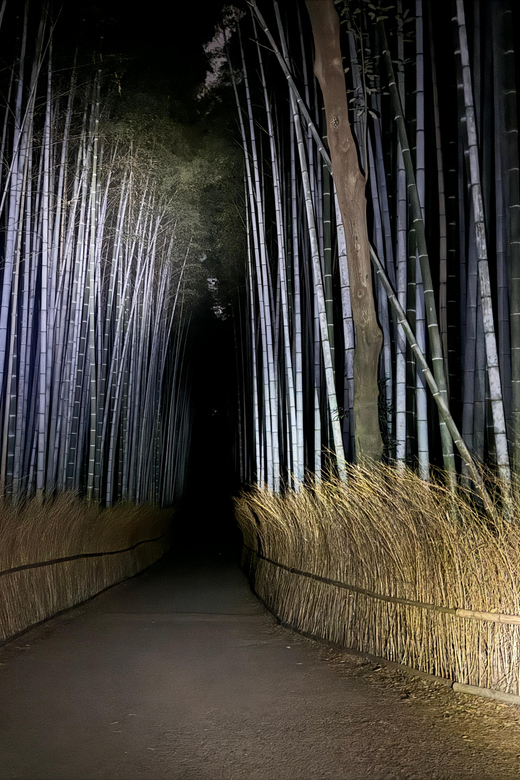 Kyoto: Ghost Tour - Legends, Dark Tales, Bamboo Forest Night - Meeting at Saga-Arashiyama Station