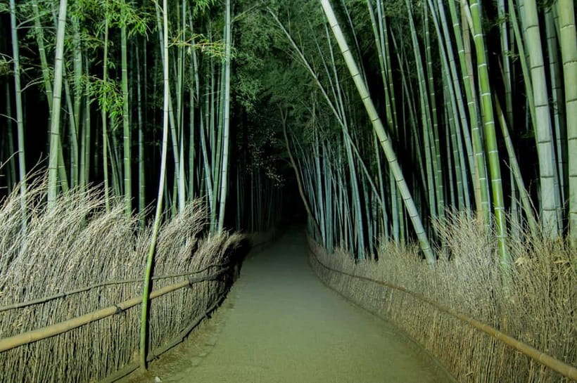 Kyoto: Ghost Tour - Legends, Dark Tales, Bamboo Forest Night - The Solo Walk: The Tour’s Strongest Feature