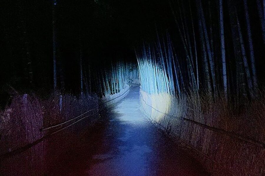 Kyoto: Ghost Tour - Legends, Dark Tales, Bamboo Forest Night - Drinks, the Surprise, and the Anti-Curse QR Code