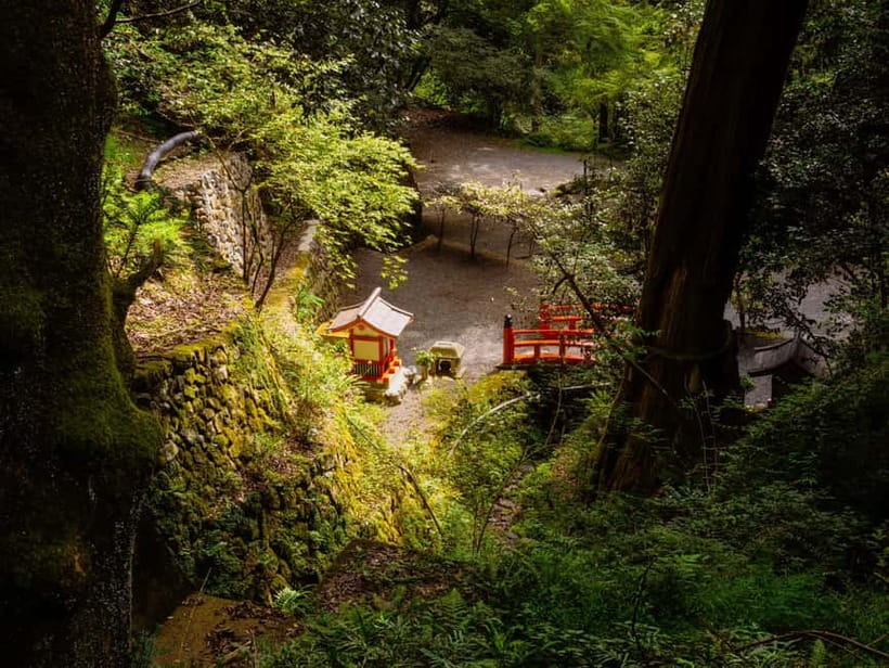 Kyoto: Hike and Hot Springs in Kurama - Who should book this Kurama hike?