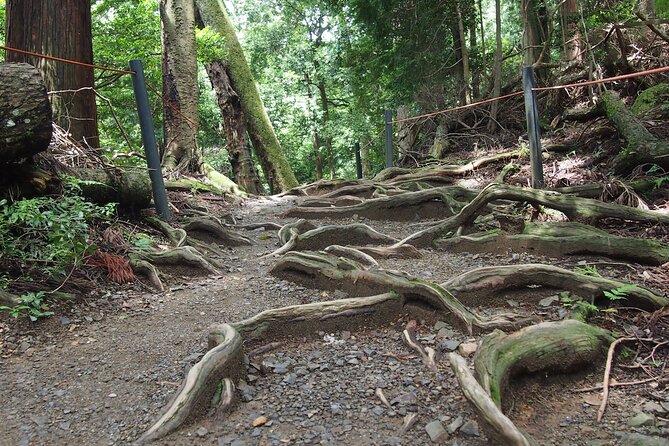 Kyoto Hiking Tour: The Nature and Legends of Kurama and Kibune - Descending toward Kifune Shrine