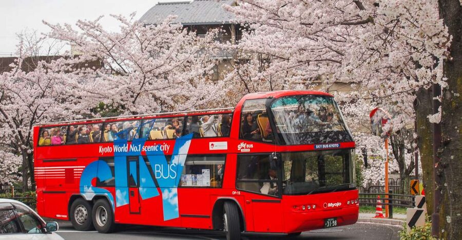 Kyoto: Hop-on Hop-off Sightseeing Bus Ticket - Key points to know before you board