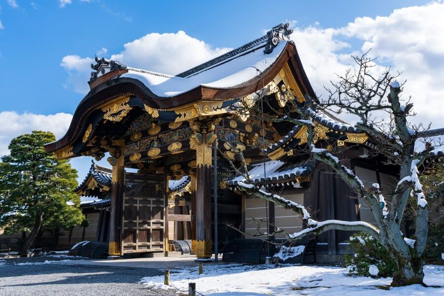 Kyoto: Imperial Palace & Nijo Castle Guided Walking Tour - Who should book this walking tour?