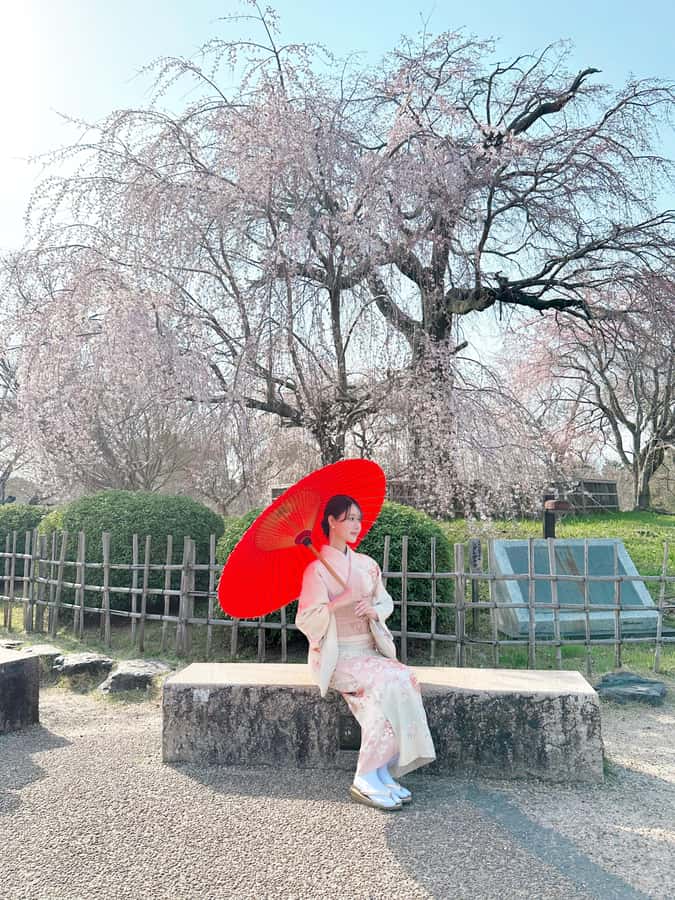 Kyoto: Kimono Rental Traditional Experience at Wargo in Gion - Is $33 good value?
