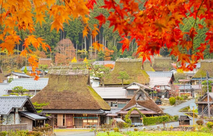 Kyoto: Miyama Village, Amanohashidate & Ine Bay Day Trip - Why This Northern Kyoto Day Trip Works