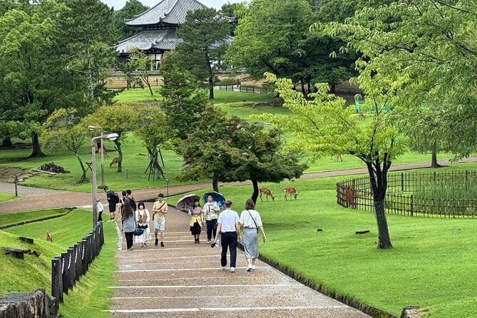 Kyoto & Nara Private customized tour with English speaking Guide - Starting from Osaka and setting the day’s rhythm