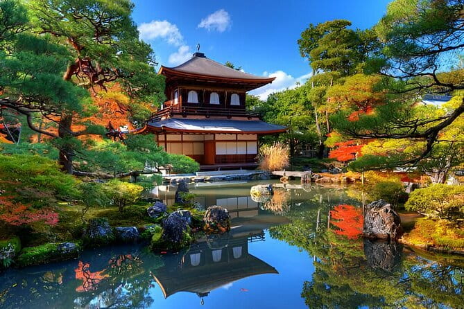 Kyoto & Nara Private Day Tour - Fushimi Inari and its red torii path
