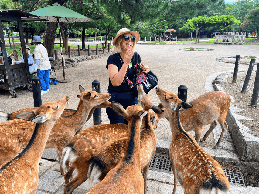 Kyoto: Nara & Traditional Matcha Experience Bus Tour - Kasuga Taisha and its 3,000 stone lanterns