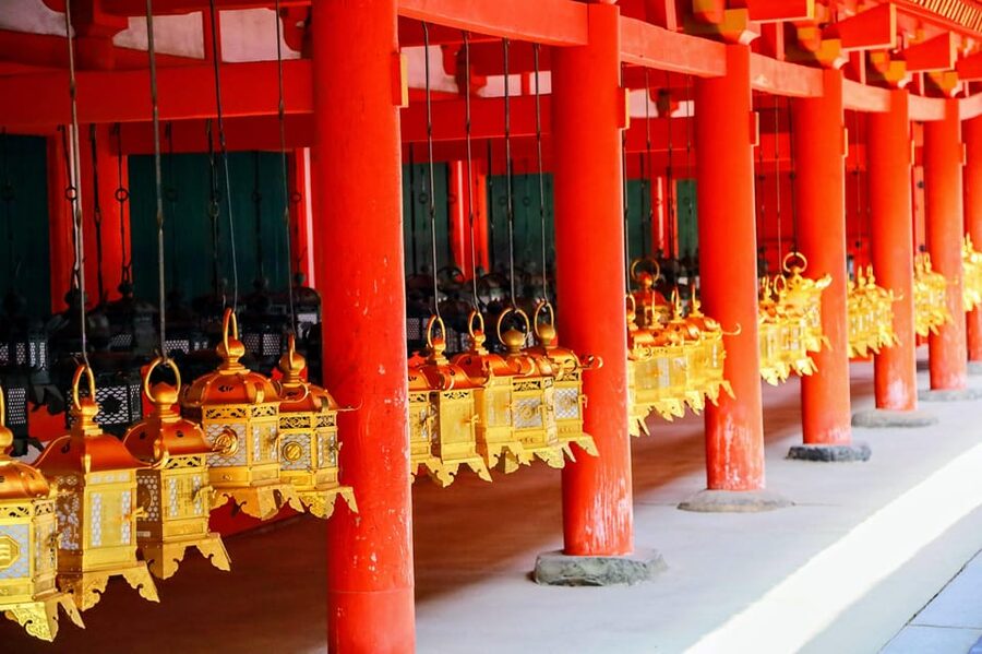 Kyoto: Nara & Traditional Matcha Experience Bus Tour - Meeting Nara’s deer at Nara Park