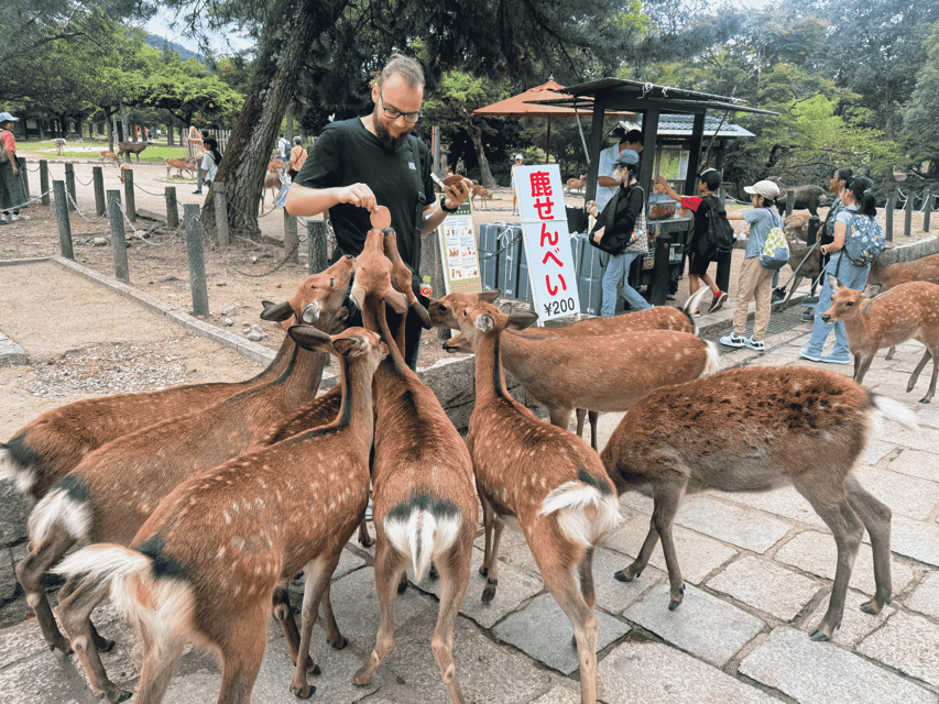 Kyoto: Nara & Traditional Matcha Experience Bus Tour - Making matcha from scratch in Uji