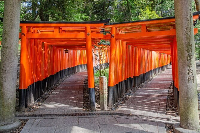 Kyoto & Nara & Uji: Full Day Sightseeing Tour from Osaka or Kyoto - Nara Park and the deer: a lively first stop