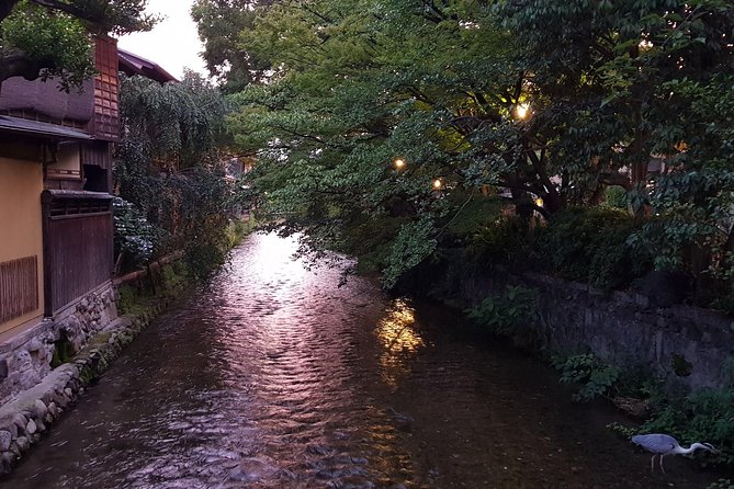Kyoto Nighttime All-Inclusive Eats and Streets, Gion and Beyond - Pontocho, Kiyamachi, and Kawaramachi after dark