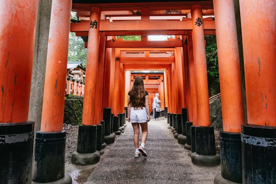 Kyoto: Nijo Castle, Kiyomizu & Fushimi Inari Guided Tour - Why this Kyoto bus tour is useful for a first visit