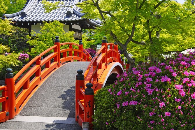 Kyoto: Nijo Castle World Heritage Guided Tour with Admission - What the guides add to the visit