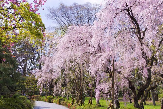 Kyoto: Nijo Castle World Heritage Guided Tour with Admission - Small groups and the value of a $39.24 ticket