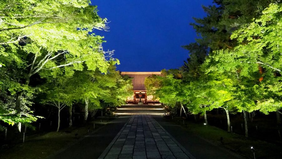 Kyoto: Ninnaji Temple Entry Ticket - How much time should you allow?