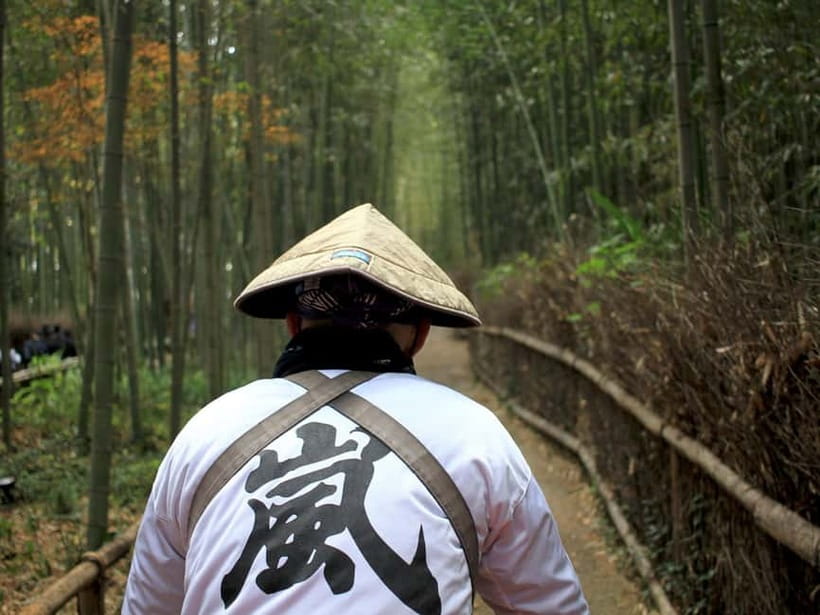 Kyoto/Osaka: Kinkakuji, Bamboo Forest, and Nara Deer Park - The optional Kyoto lunch