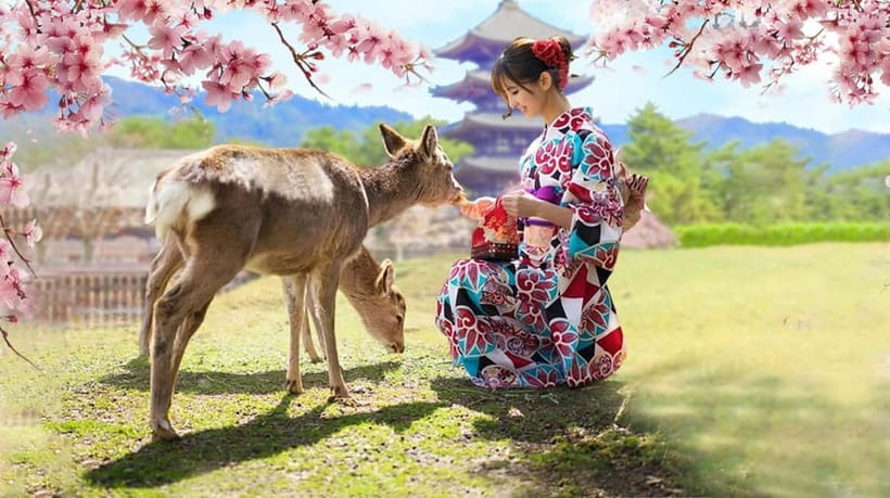 Kyoto/Osaka: Nara, Fushimi Inari Taisha, Arashiyama Bus Tour - Meeting Nara’s sacred deer